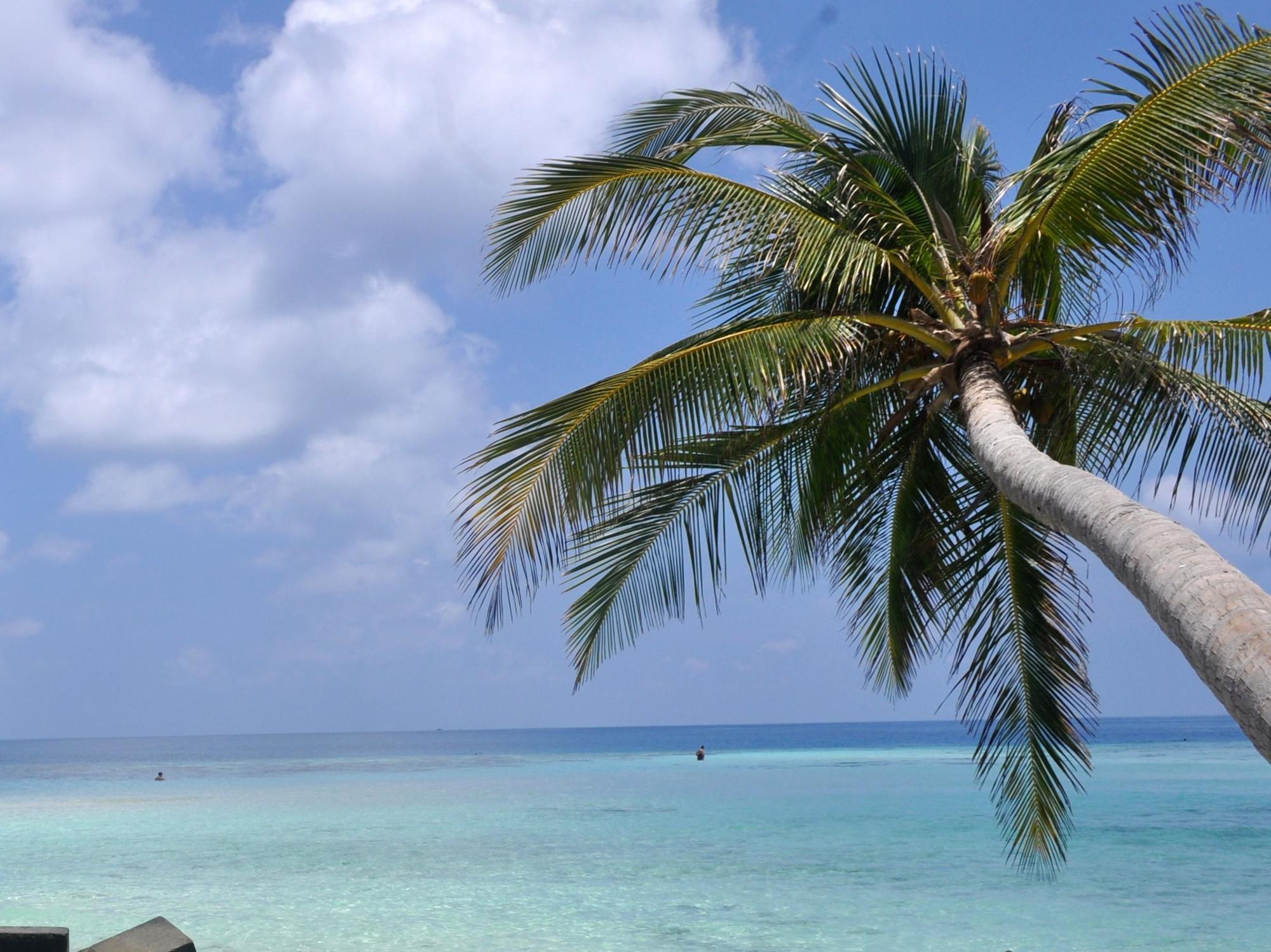 فندق Water Breeze مافوشي المظهر الخارجي الصورة